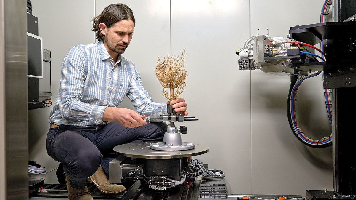 Chris Topp at the Donald Danforth Plant Science Center